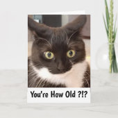 Schwarze Katze Karte (Vorderseite)