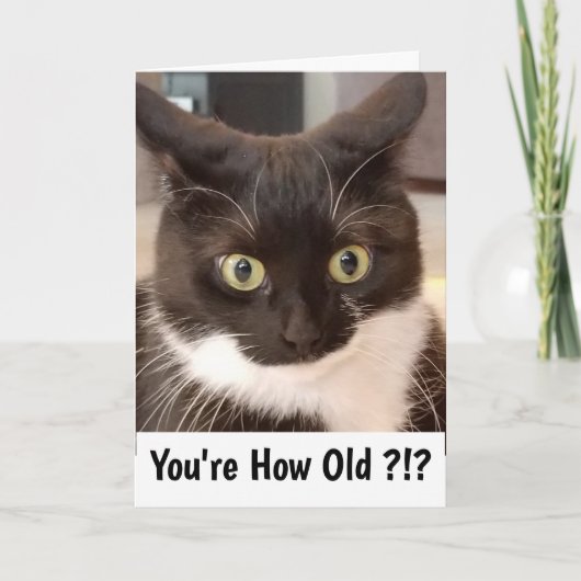 Schwarze Katze Karte (Vorderseite)