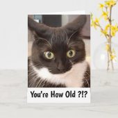 Schwarze Katze Karte (Gelbe Blume)