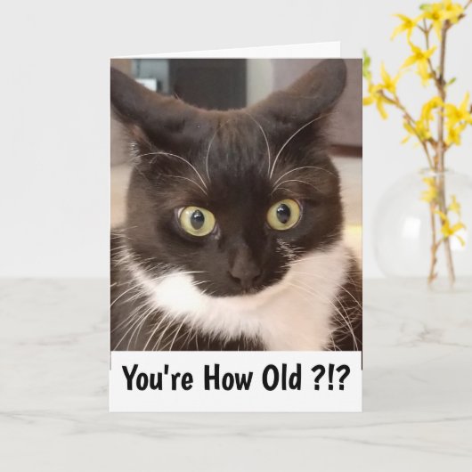 Schwarze Katze Karte (Gelbe Blume)