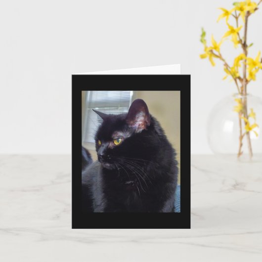 Schwarze Katze Karte (Gelbe Blume)