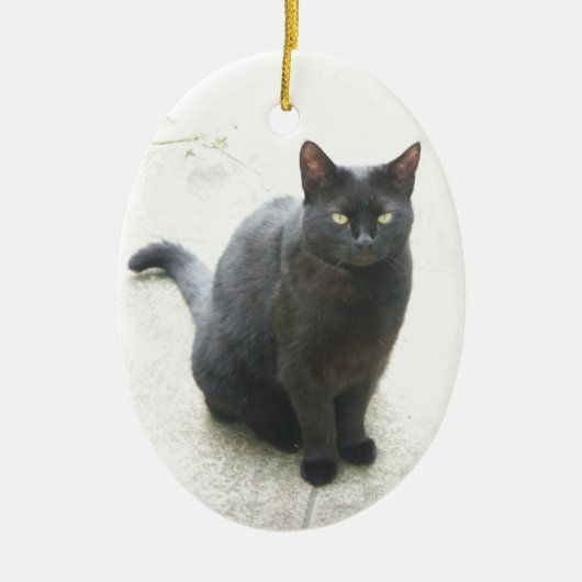 Schwarze Katze Keramik Ornament (Vorne)