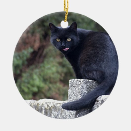 Schwarze Katze Keramik Ornament (Vorne)