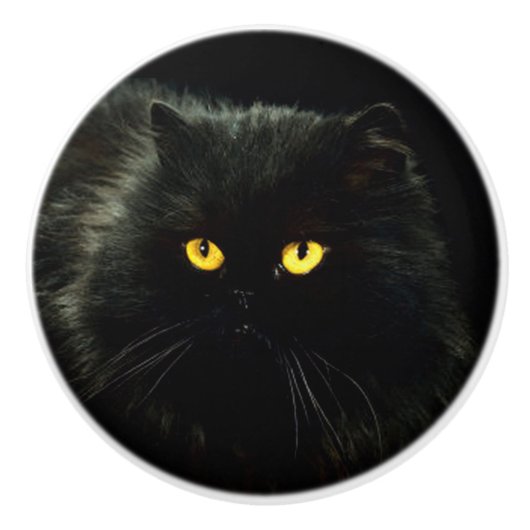 Schwarze Katze Keramikknauf (Vorderseite)