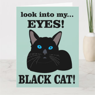 Schwarze Katze Kitty Geburtstag Schwarze Katze Karte