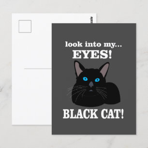 Schwarze Katze Kitty Tierliebhaber Schwarze Katze Postkarte