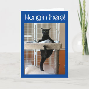 Schwarze Katze klammert sich an Katzenbaum Karte