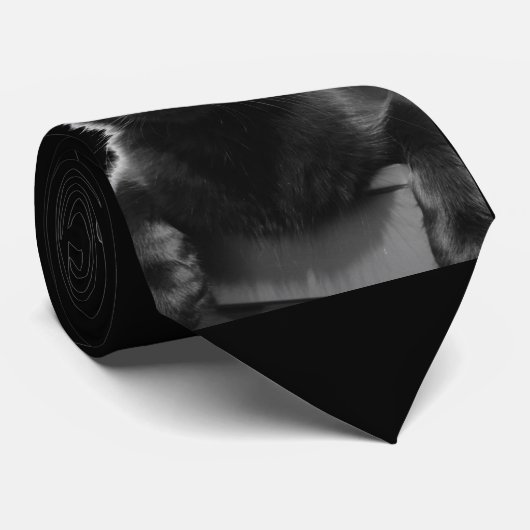 Schwarze Katze Krawatte (Gerollt)