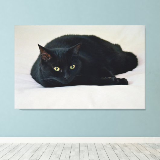 Schwarze Katze Leinwanddruck (Insitu (Holzboden))