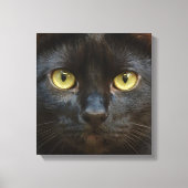 Schwarze Katze Leinwanddruck (Vorderseite)