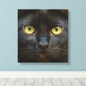 Schwarze Katze Leinwanddruck (Insitu (Holzboden))