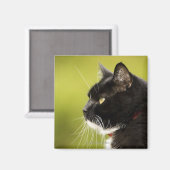 Schwarze Katze Magnet (Vorderseite/Rückseite)
