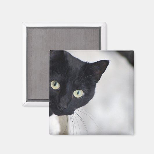Schwarze Katze Magnet (Vorderseite/Rückseite)