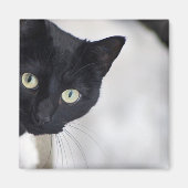 Schwarze Katze Magnet (Vorne)