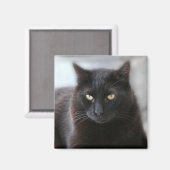 Schwarze Katze Magnet (Vorderseite/Rückseite)
