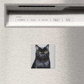 Schwarze Katze Magnet (In Situ (Geschirrspüler))