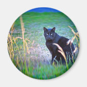 Schwarze Katze Magnet (Vorne)