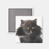 SCHWARZE KATZE MAGNET (Vorderseite/Rückseite)