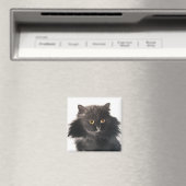 SCHWARZE KATZE MAGNET (In Situ (Geschirrspüler))