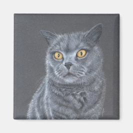 Schwarze Katze Magnet