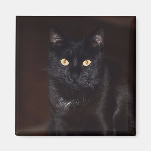 Schwarze Katze Magnet (Vorne)