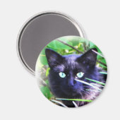Schwarze Katze mit auffälligen grünen Augen Magnet (Vorderseite/Rückseite)