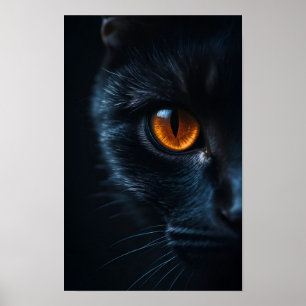 Schwarze Katze mit Bernstein-Auge Poster