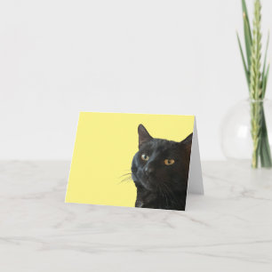 Schwarze Katze mit einem lustigen, eigenartigen Ge Karte