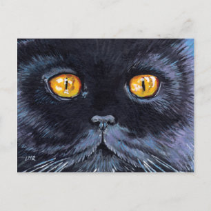 Schwarze Katze mit gelben Augen   Cat Art Postcard Postkarte