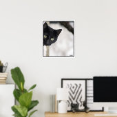 Schwarze Katze - mit Grenze Poster (Heimbüro)