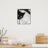 Schwarze Katze - mit Grenze Poster (Küche)