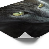 SCHWARZE KATZE MIT GRÜNEN AUGEN FOTOGRAFISCHER POS POSTER (Ecke)