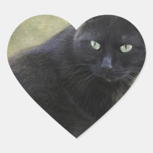 Schwarze Katze mit grünen Augen Herz-Aufkleber