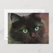 Schwarze Katze mit grünen Augen Portrait Postkarte (Vorne/Hinten)