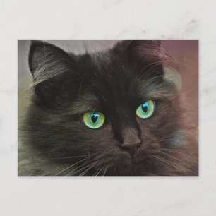 Schwarze Katze mit grünen Augen Portrait Postkarte
