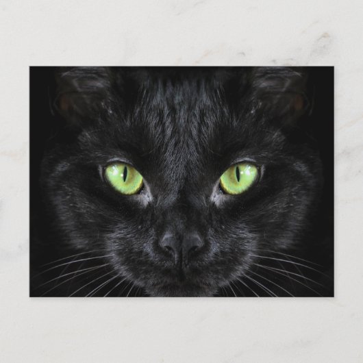 Schwarze Katze mit grünen Augen Postkarte (Vorderseite)