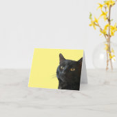 Schwarze Katze mit lustigen, sonderbaren Ausdrücke Karte (Gelbe Blume)