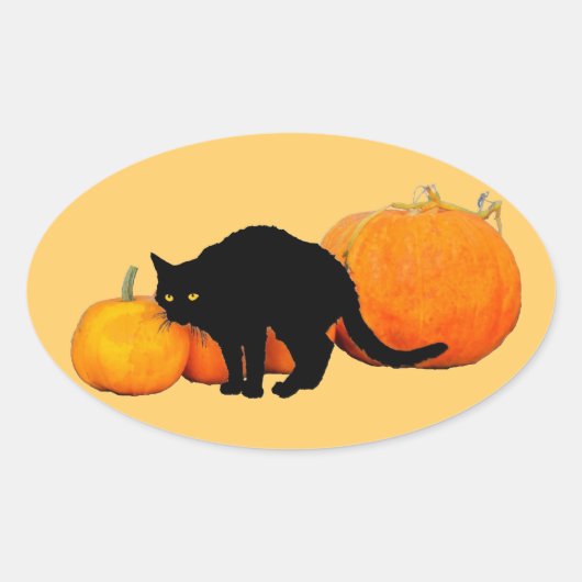 Schwarze Katze mit Pumpkins anordnen Ovaler Aufkleber (Vorderseite)