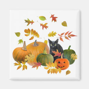 Schwarze Katze mit Pumpkins Magnet