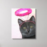 Schwarze Katze mit rosa Engel Halo