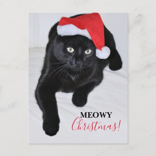 Schwarze Katze mit roter Weihnachtsmannmütze Postkarte (Vorderseite)