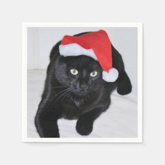 Schwarze Katze mit roter Weihnachtsmannmütze Serviette (Vorderseite)