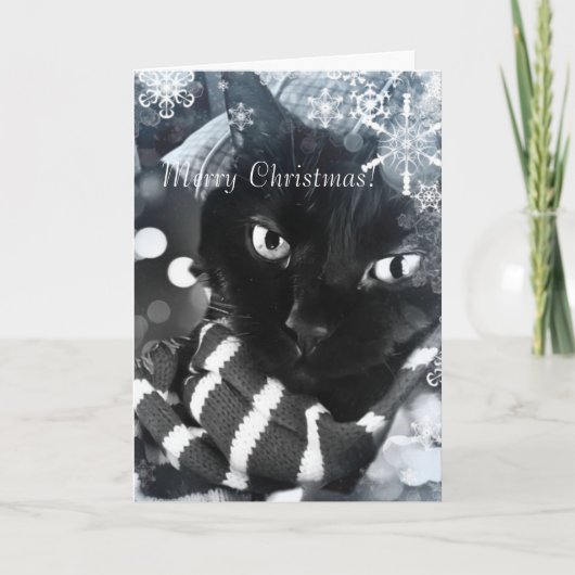 Schwarze Katze mit Schneeflocke-Weihnachtskarte Feiertagskarte (Vorderseite)
