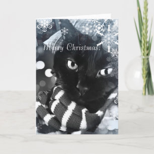 Schwarze Katze mit Schneeflocke-Weihnachtskarte Feiertagskarte