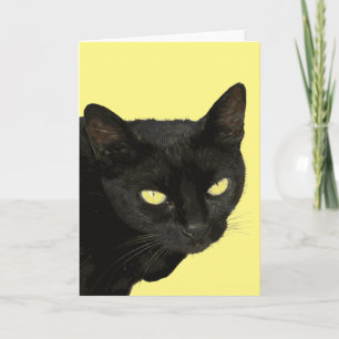 Schwarze Katze mit schönen gelben Augen Vektor Kun Karte