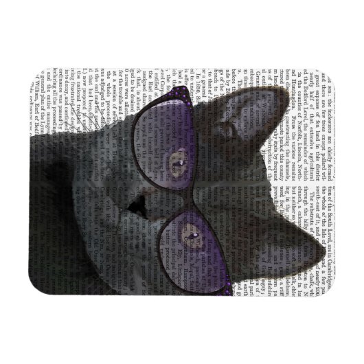 Schwarze Katze mit Sonnenbrille 2 Magnet (Horizontal)