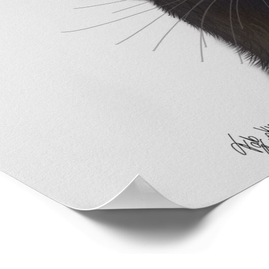 Schwarze Katze mit Teekanne und Eule Poster (Ecke)