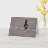 Schwarze Katze mit weißem Pfoten Foto und Karte vo (Gelbe Blume)