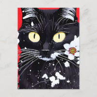 Schwarze Katze mit weißer Blume, roter Hintergrund