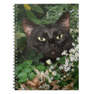 Schwarze Katze mit Wildblumen Notizblock